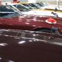 DSCF2583 (Custom).JPG